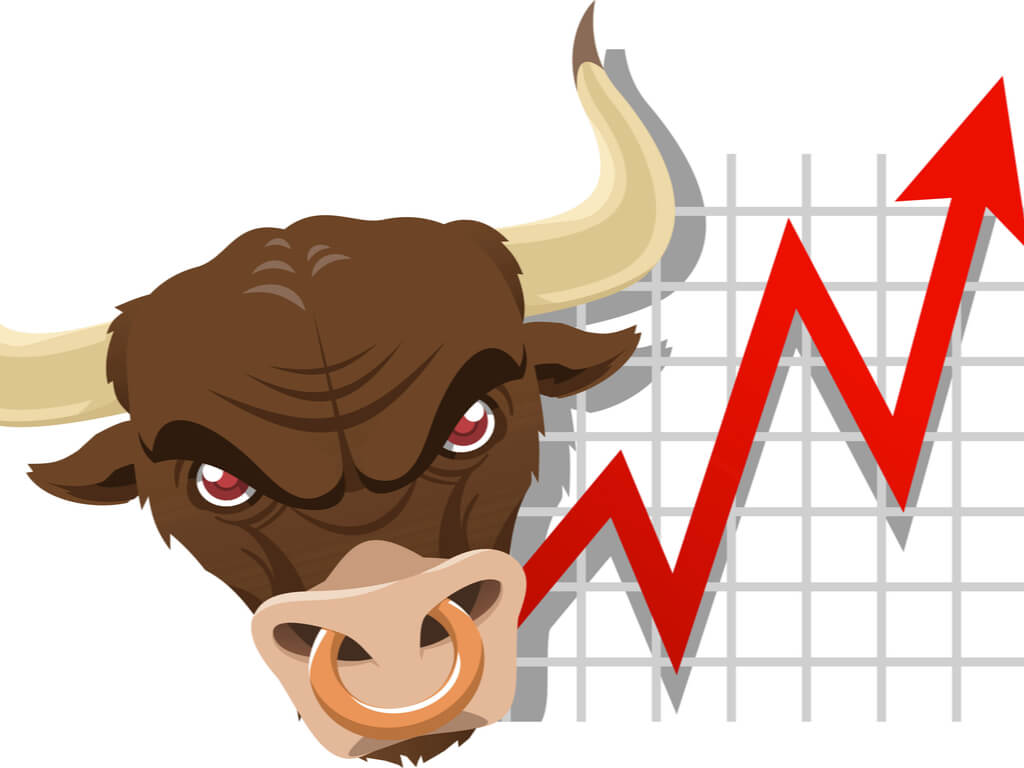 boss bulls